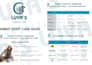 research the german market for your product or business